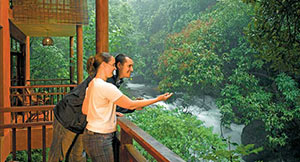 Top jungle resorts kerala