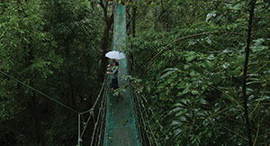 Hanging Bridge at vythiri Resort