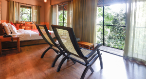 Nature Jungle Luxury Forest Accommodation in Wayanad