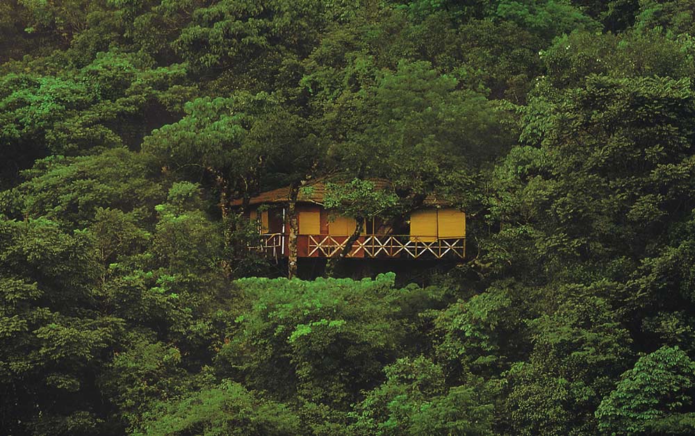 vythiri resort - kerala tree house