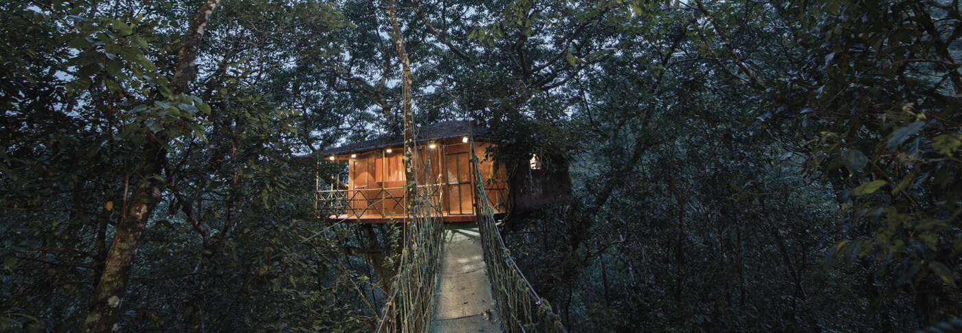 Rainforest treehouse Resorts in Wyanad | Vythiri Resort