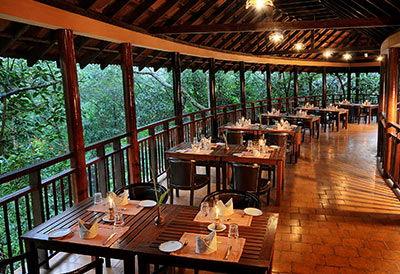 Luxury tree house resort in south india