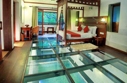 Luxury jacuzzi pool villas in kerala
